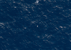 Picture3 Digital Aerial Survey aircraft